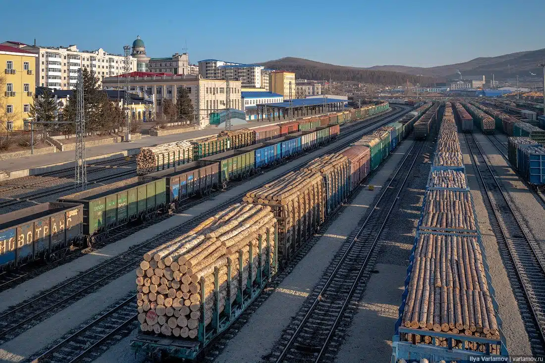 Russia’s Timber Volume Drops as Chinese Demand Plummets