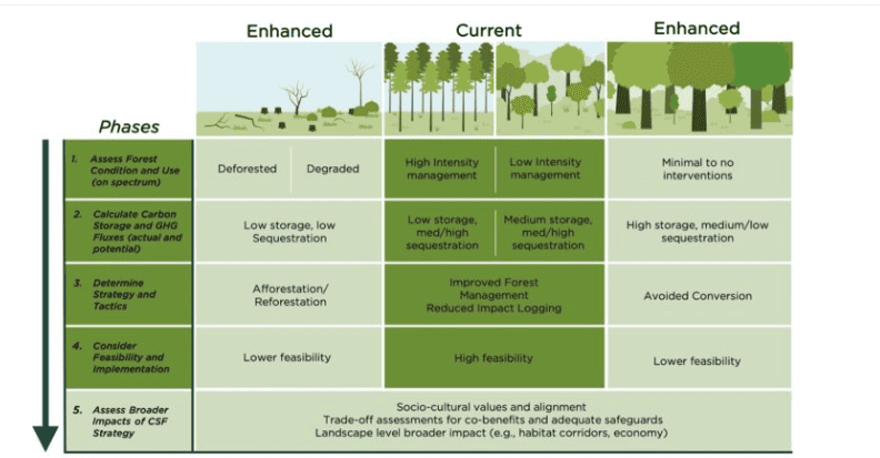 Climate-Smart Forestry