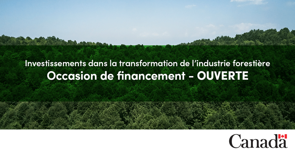 Appel de propositions pour des technologies novatrices dans le secteur forestier