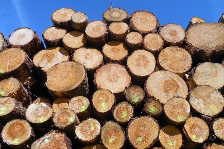 Conflit en Ukraine: Impact sur l’industrie canadienne du bois d’oeuvre