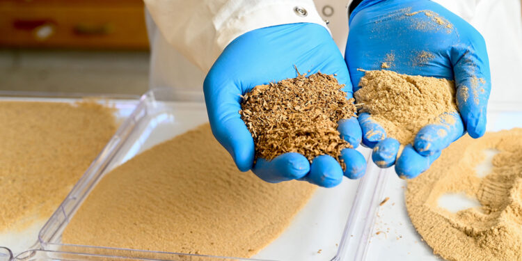 Sawdust Powder Could Substitute Styrofoam