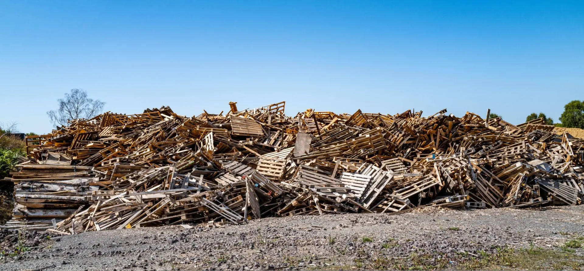 Produire du biogaz à partir de déchets de bois