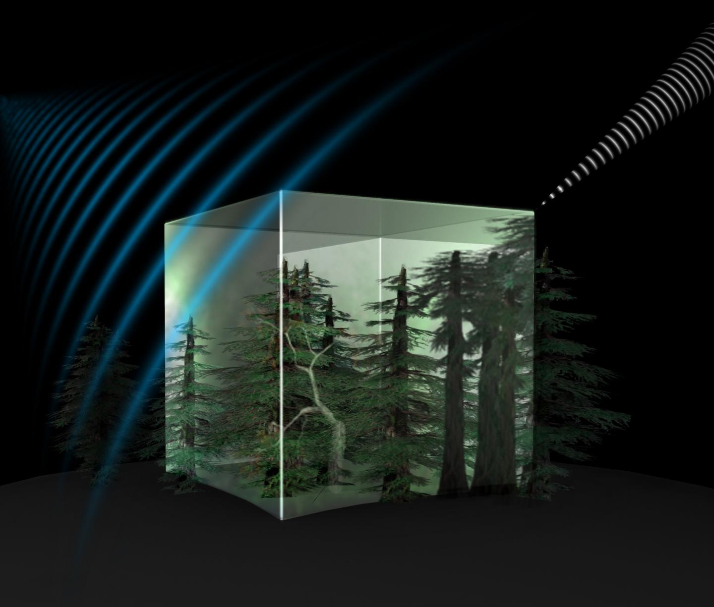 Optical Measurement Technology To Increase Forestry Effectiveness