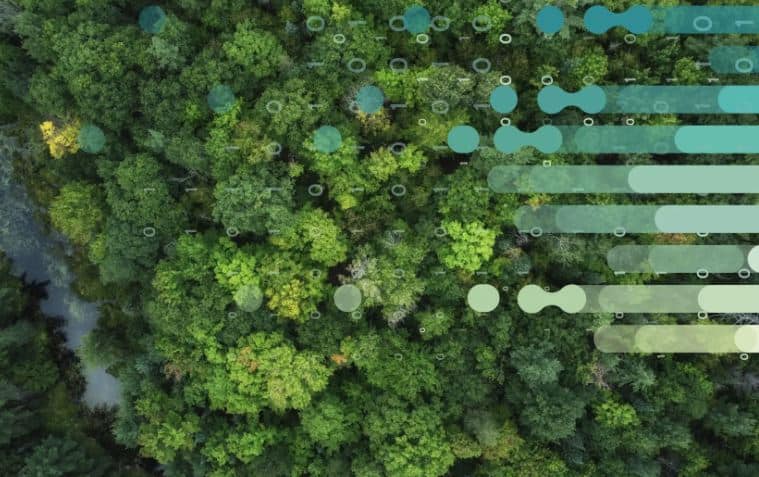 Le DOT-Lab: la science des données au service de la forêt