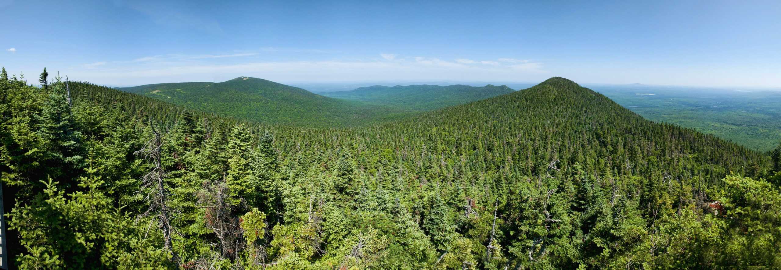 Travaux d’inventaire forestier en forêt publique et privée dans plusieurs régions du Québec