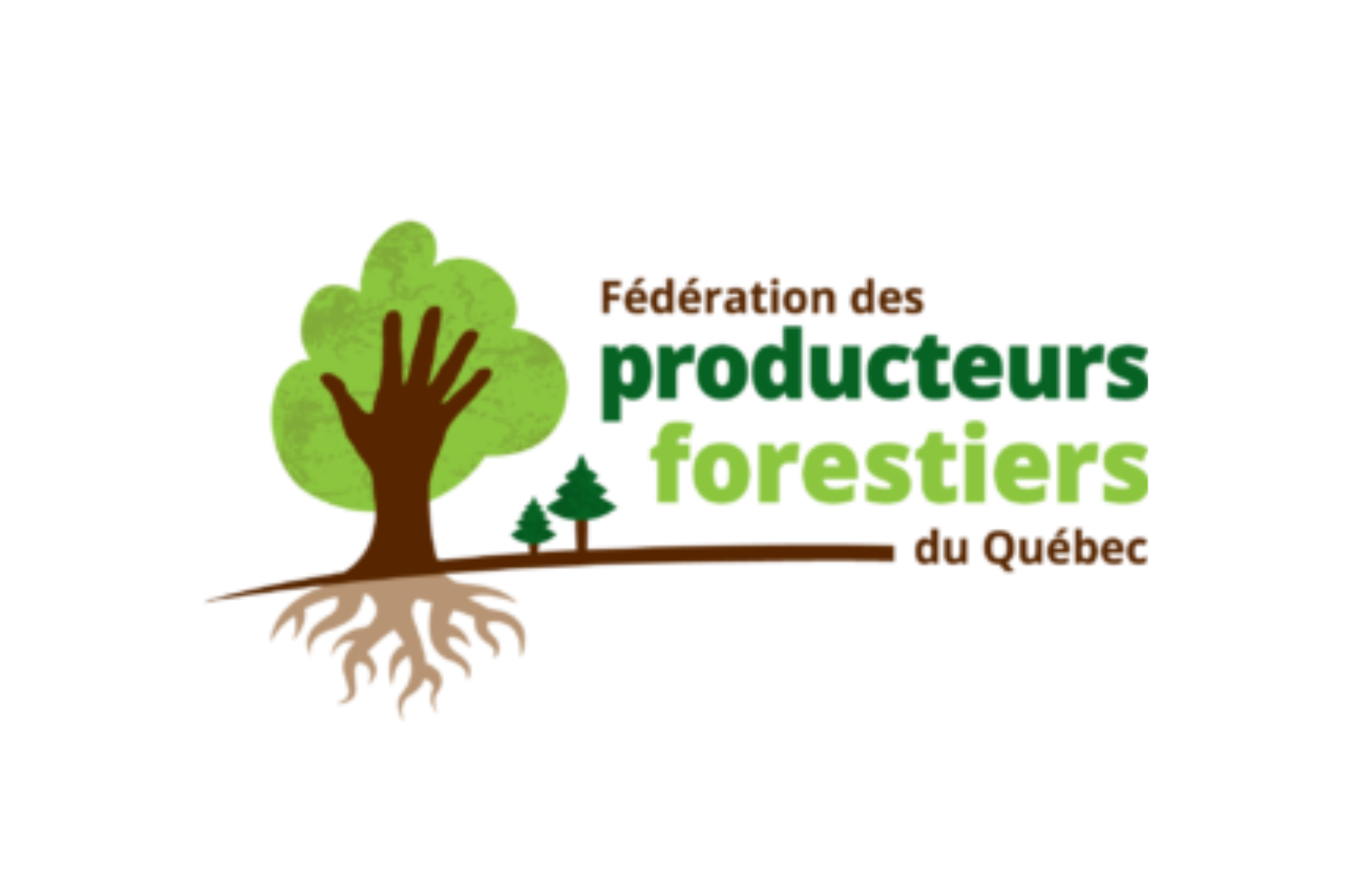 Portrait économique des activités sylvicoles et de la transformation du bois des forêts privées
