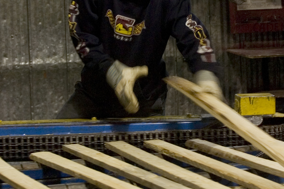 Il manquera de bois en Amérique du Nord