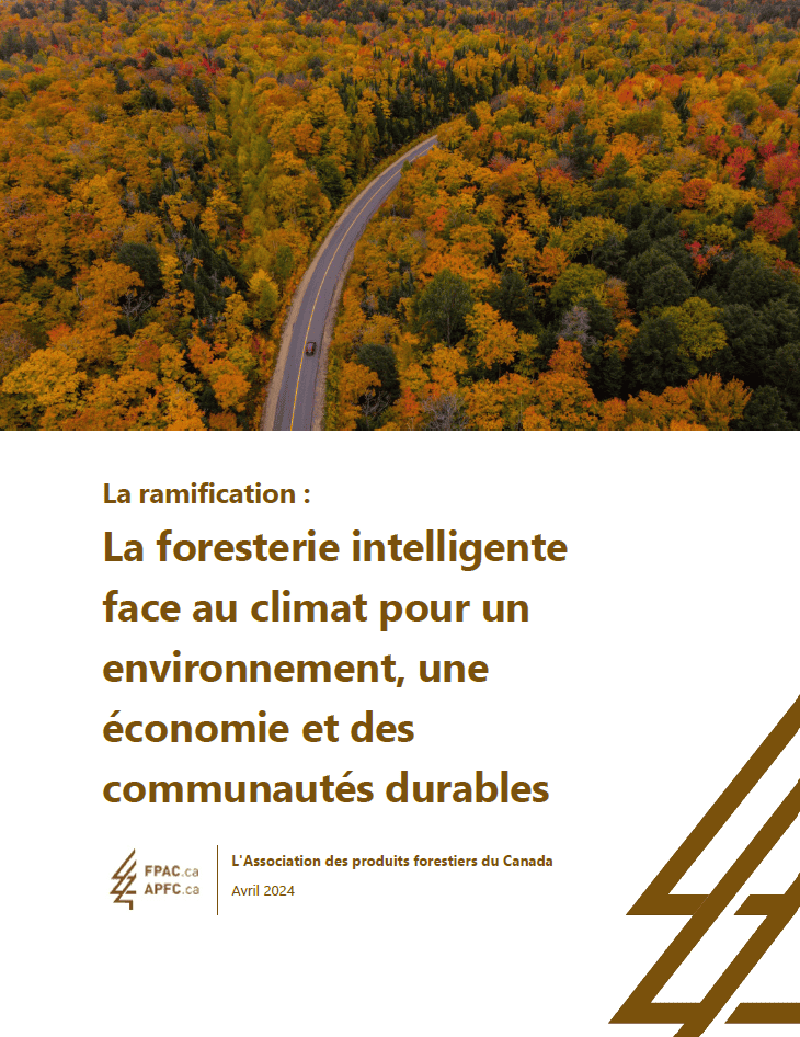 La foresterie intelligente face au climat pour un environnement, une économie et des communautés durables