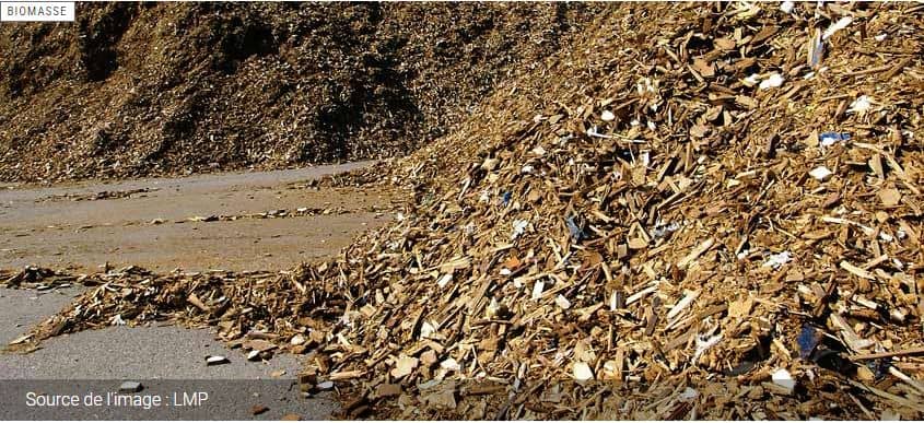 Ontario : 60 M$ à l’utilisation de la biomasse forestière