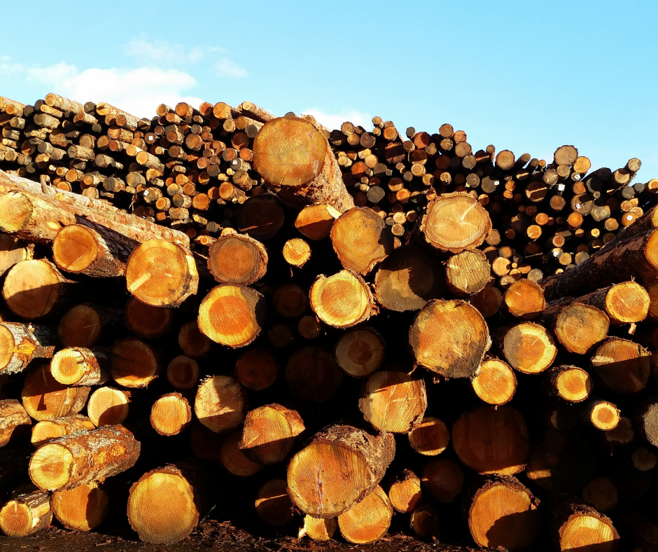 NaviForest : Cartographie numérique pour le transport des bois