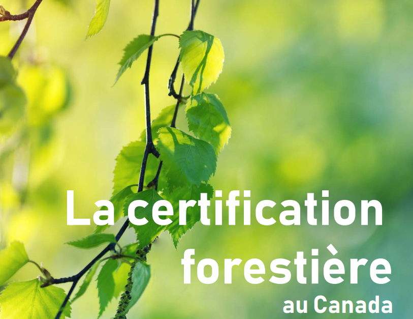 La certification forestière au Canada, Juin 2020