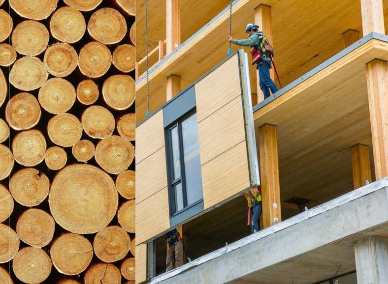 Feuille de route pour le bois massif : Une chaîne de valeur intégrée de la forêt aux bâtiments