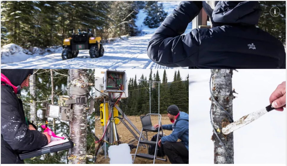 La recherche et l’enseignement en milieu forestier