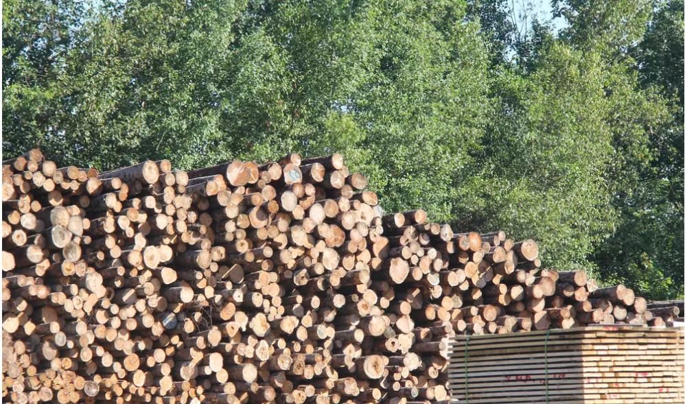 Économie circulaire: l’exemple du secteur forestier québécois