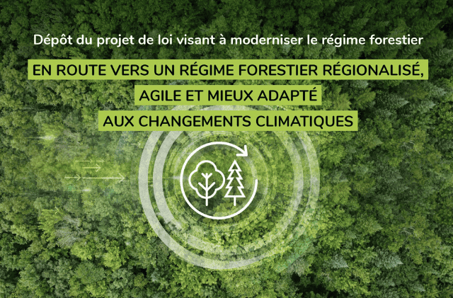 Dépôt du projet de loi visant principalement à moderniser le régime forestier
