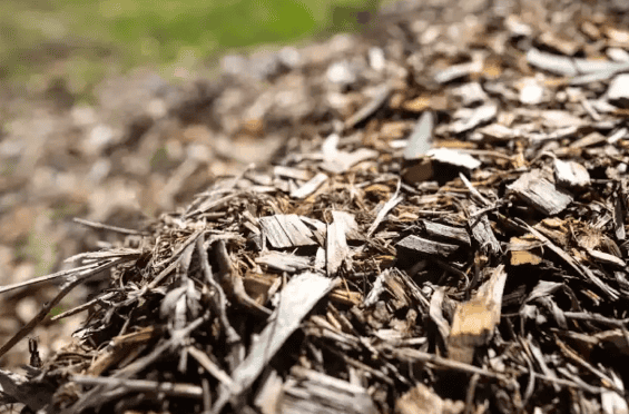 Les Composites de Lignocellulose Réactifs (CRL)🌐