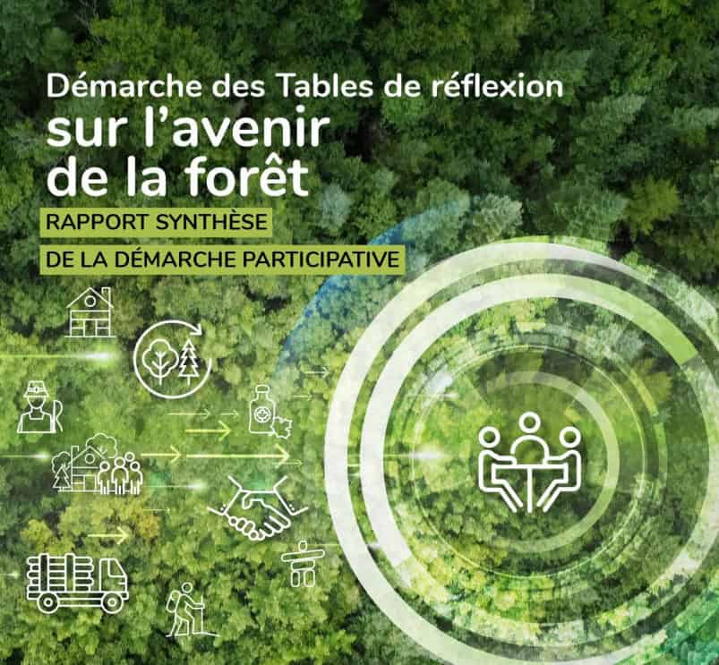 Rapport synthèse des Tables de réflexion sur l’avenir de la forêt