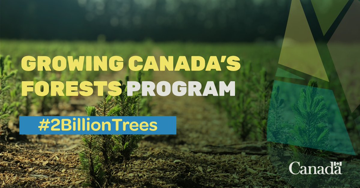 Canada Launched the Growing Canada’s Forests Program