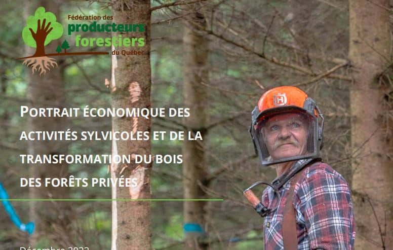 Portrait économique des activités sylvicoles et de la transformation du bois des forêts privées