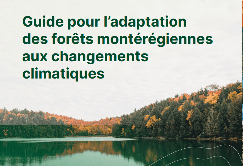 Guide pour l’adaptation des forêts montérégiennes aux changements climatiques