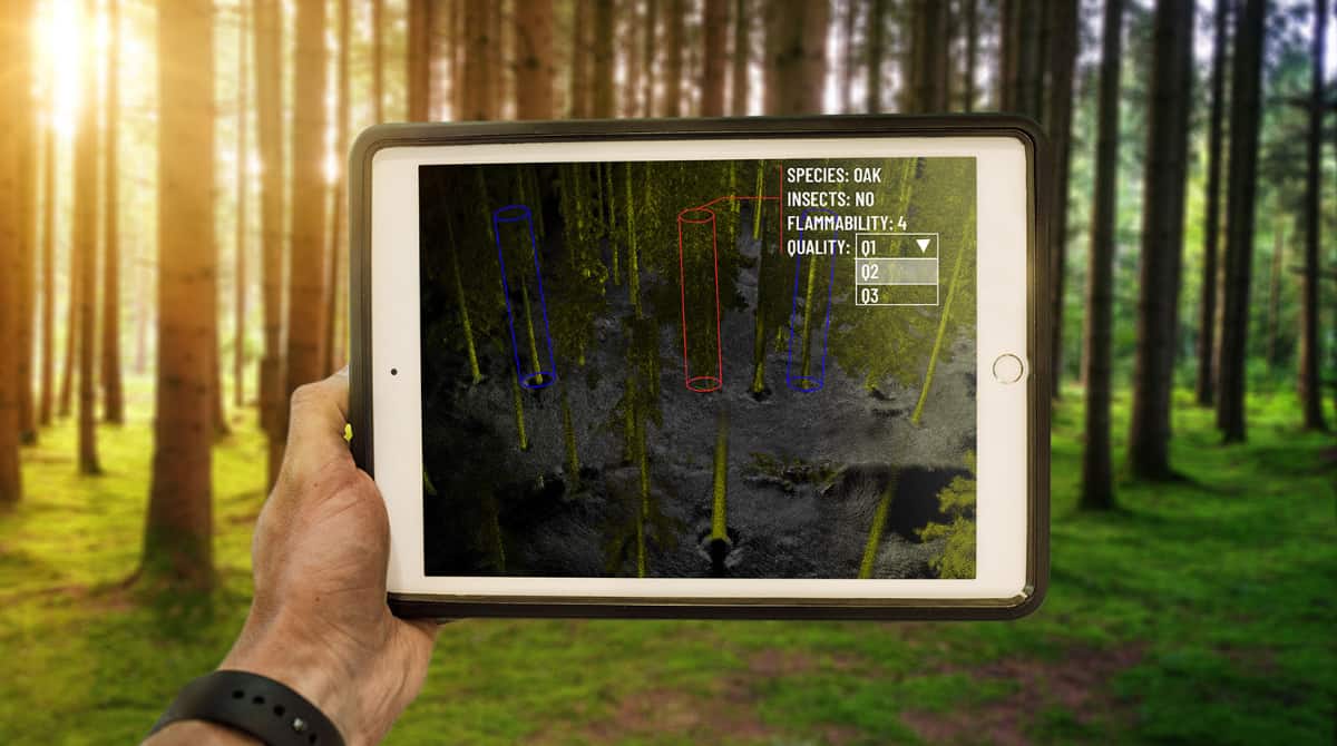 Première solution LiDAR en temps réel