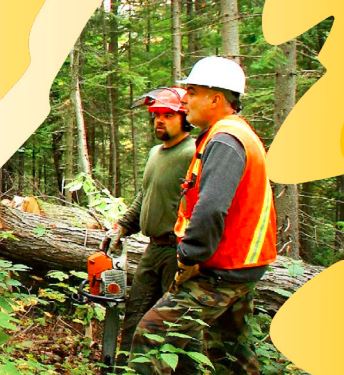 Portrait des entrepreneurs forestiers du Québec