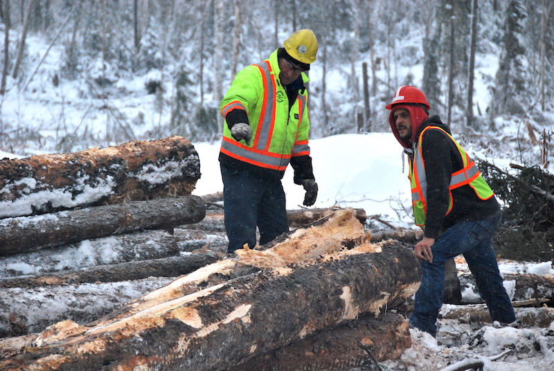 2,4 M$ for Ontario Forestry Training Projects