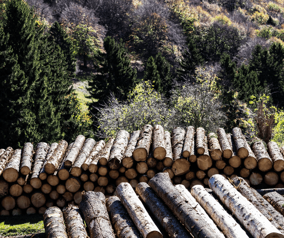 Bilan de la mise en marché du bois de la forêt privée en 2022, Avril 2023