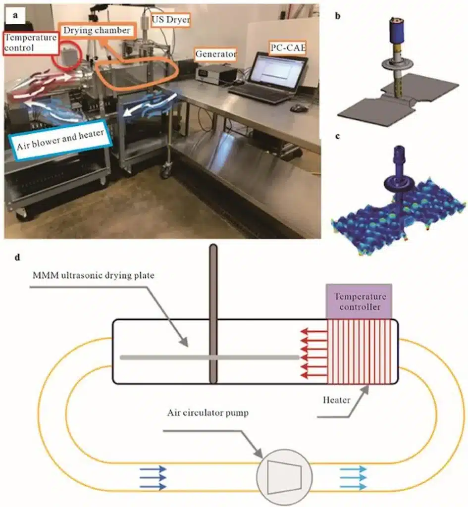 Le séchage ultrasonique transforme la production de nanocellulose