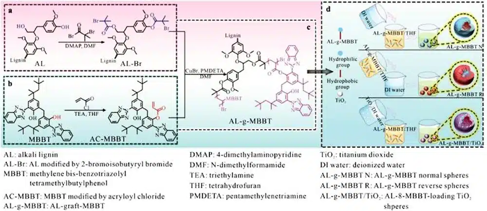 Des crèmes solaires à base de lignine