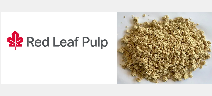 3,8 M$ à Red Leaf Pulp pour une pâte non ligneuse