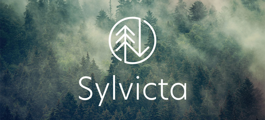 Sylvicta: un papier barrière translucide révolutionnaire