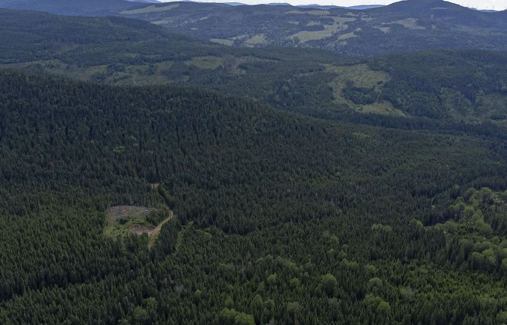 Québec réformera le régime forestier