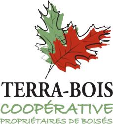 Logo de Terra Bois