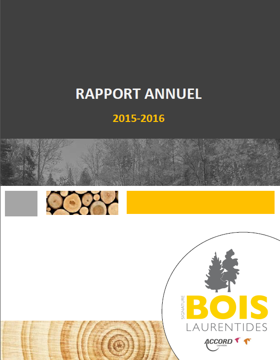 Rapport annuel 2016 image